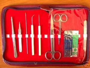 Pr�parierset, Sezier Besteck, Instrumente im Etui