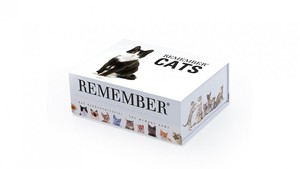 Remember Memospiel groß - Cats, 44 Kartenpaare