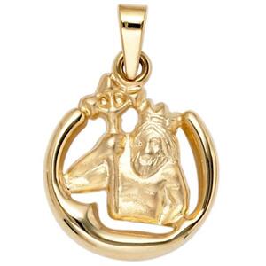 Anh�nger Sternzeichen Wassermann 375 Gold Gelbgold matt