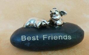 Schweinchen Best Friends (Farbe: braun)