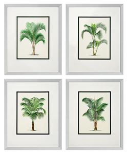 Casa Padrino Bilder / Kunstdruck 4er Set Palmen Mehrfarbig 43 x H. 53 cm - Luxus Deko
