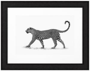 Casa Padrino Luxus Bild Leopard Schwarz / Wei 93 x H. 73 cm - Kunstdruck mit Holzrahmen