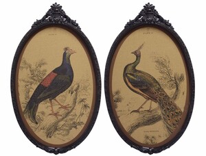 Casa Padrino Barock Wandbilder Set V�gel Mehrfarbig / Schwarz 38 x H. 63,7 cm - Kork Bilder mit Polyresin Rahmen im Barockstil