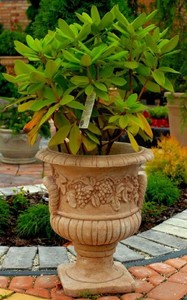 Casa Padrino Barock Blumentopf Beige  44 x H. 51 cm - Blumenk�bel - Pflanzk�bel - Gartendeko Accessoires