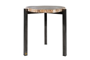 Casa Padrino Luxus Beistelltisch Braun 65 x 65 x H. 67 cm - Beistelltisch mit Tischplatte aus versteinertem Holz und Edelstahlfu� - Luxus M�bel
