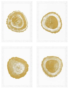Casa Padrino Luxus Bilder Set Baumscheiben Jahresringe Wei / Gold 61,5 x H. 82 cm - Kunstdrucke - Wandbilder - Wanddeko - Deko Accessoires