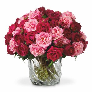 Casa Padrino Luxus Deko Rosenstrau Rot / Rosa / Grn  70 cm - Luxus Qualitt