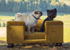 Casa Padrino Luxus Hundebett Ocker / Dunkelbraun / Ocker 95 x 75 x H. 37 cm - Modernes Rechteckiges Hundebett mit Kissen - Luxus Hundembel - Luxus Tiermbel