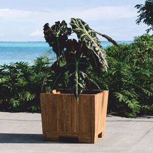 Casa Padrino Luxus Teakholz Blumentopf Naturfarben 70 cm - Quadratischer Pflanzentopf - Garten Deko Accessoires - Terrassen Deko