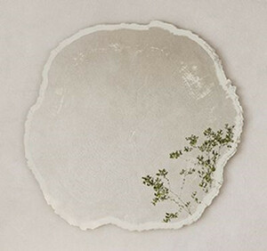 Casa Padrino Luxus Wandspiegel im Baumscheiben Design Wei� / Beige 80 x 2,5 x H. 78 cm - Wohnzimmer Spiegel - Schlafzimmer Spiegel - Garderoben Spiegel - Luxus M�bel - Luxus Interior