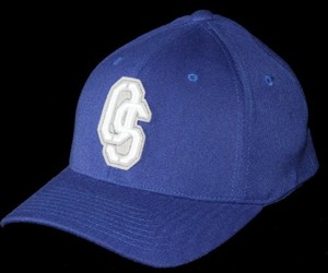 Osiris Skateboard FlexFit Cap OS Blue - Fitted Flex Fit Cap