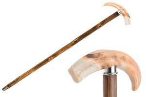 Spazierstock mit Warzenschweinzahn - Handmade in Italy