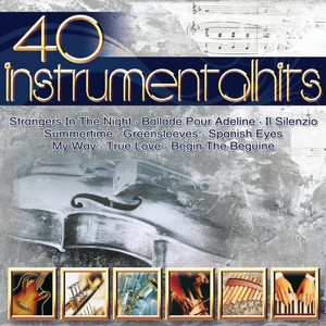 40 Instrumentalhits [CD]