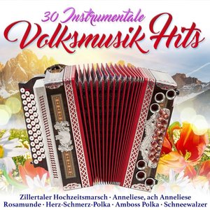30 Instrumentale Volksmusik Hits [CD]