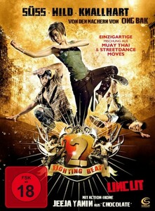 Fighting Beat 2 - Uncut [DVD] - gebraucht sehr gut