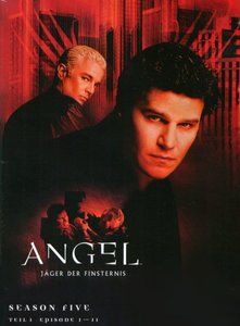 Angel - Season 5.1 (3 DVDs) [DVD] - gebraucht gut