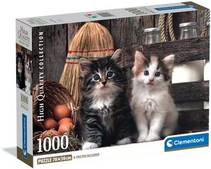 Clementoni 39943 - S��e K�tzchen - 1000 Teile High Quality Collection Compact Puzzle