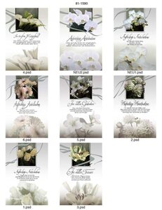 Trauerkarte - 100 St�ck - 8 Motive