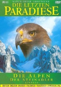 Die Alpen - Der Steinadler (PAL - Deutsch) [DVD]