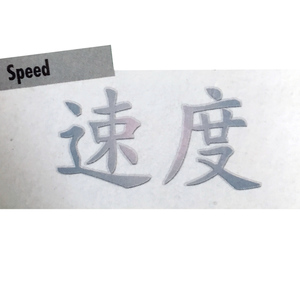 Foliatec Carstyling Sign Tattoo Speed / Geschwindigkeit silber 33793 super Optik