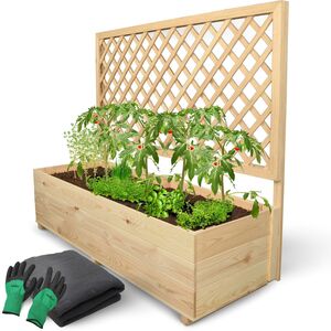 Pflanzkasten mit Rankgitter, Pflanzk�bel, Spalier f�r Rankpflanzen, Gr��e w�hlbar