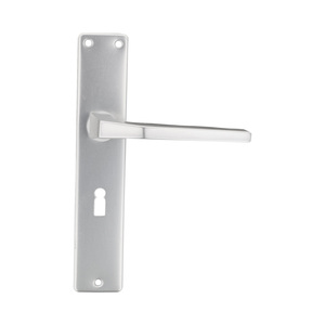 T�rdr�cker-Kurzschildgarnitur 55 mm Buntbart - Aluminium eloxiert - f�r Kastenschl�sser - Silber