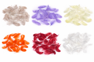 Echte Federn gef�rbt - ca. 270 St�ck - 5-10 cm - Naturfedern Basteln, Deko & Floristik