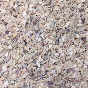 1kg Muschelgranulat echte Muscheln Dekogranulat Muschelsplitter 2-3mm Strand Meer