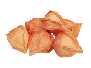 24 Physalis Lampion k�nstlich Kunstblume L�nge ca. 4cm Deko Streudeko Herbst