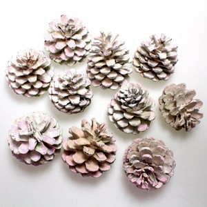 10 Pinienzapfen ca. 6-8cm wei� Glitzer Baumzapfen Deko Zapfen Winter Weihnachten