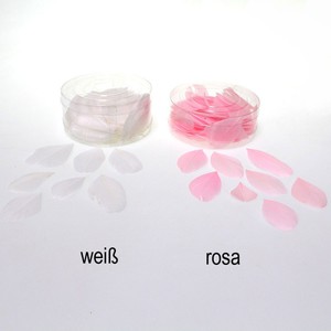 144 echte G�nsefedern ca. 5cm Federn Bastelfedern Schmuckfedern Streudeko