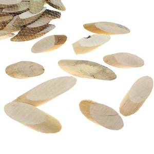 20 Astscheiben Holz Scheibe Ahorn ca. 5-18cm schr�g Baumscheibe Holzscheibe