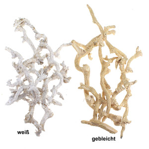 Bund Mohanwurzel ca.500g ste wei gebleicht Wurzel Dekowurzeln Deko Zweige