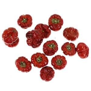 100g Mini K�rbisse rot getrocknet natur 2-6cm K�rbis Putkha Herbst Halloween Deko