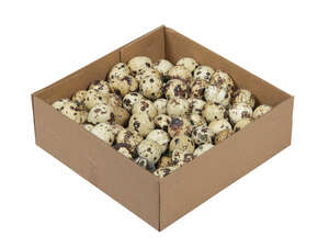 100 echte Wachteleier ausgeblasen 3cm Deko Bastel Eier Ostern Ostereier leer