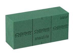 20 OASIS IDEAL Maxlife Steckschaum Ziegel Frischblumen universal 23 cm