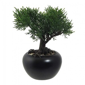 Bonsai Zeder Kunstpflanze 19 cm in schwarzem Keramiktopf mit Kies
