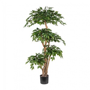Ficus Benjamini Kunstpflanze 170 cm mit Naturstamm