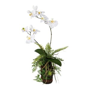 Knstliches Orchideen-Farn-Arrangement, Hhe 57 cm