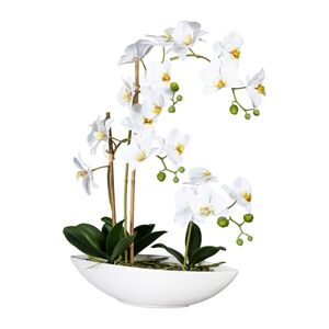 Knstliche Orchidee im weien Keramikschiff 60cm in versch. Farben