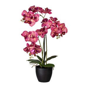 Knstliche Orchidee im Topf 65cm in versch. Farben