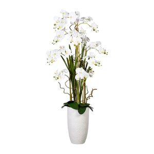 Knstliche Orchidee mit Unterbepflanzung160cm in weiem Kramiktopf in versch. Farben