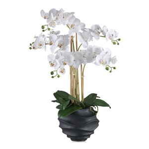 Phalaenopsis Orchidee 70 cm in Wei - Pflegeleichte Kunstpflanze im schwarzen Topf