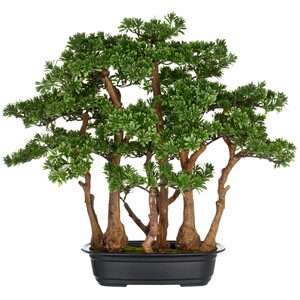 Bonsai Teeblatt Kunstpflanze 60x60 cm grn in schwarzer Kunststoffschale 33x23x8 cm