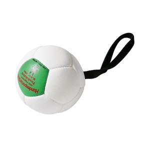 Trainingsball, aufgepumpt,  120 mm