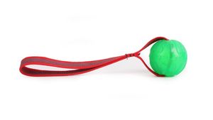 Treat Dispensing Chew Ball 8,9 cm mit Wurfband und Schlaufe