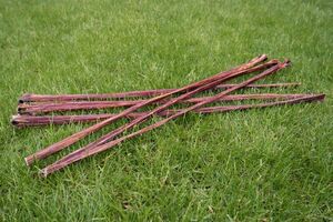 Drrfleisch Schlundfleisch rund 70-80 cm