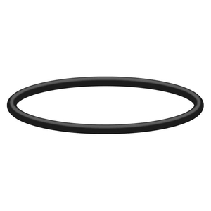 Interpump O-Ring