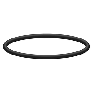 O-Ring f�r K�rcher