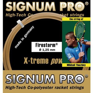 Signum Pro Firestorm Einzelset 12m